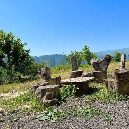 Igor Bed And Breakfast Halidzor Esterno foto