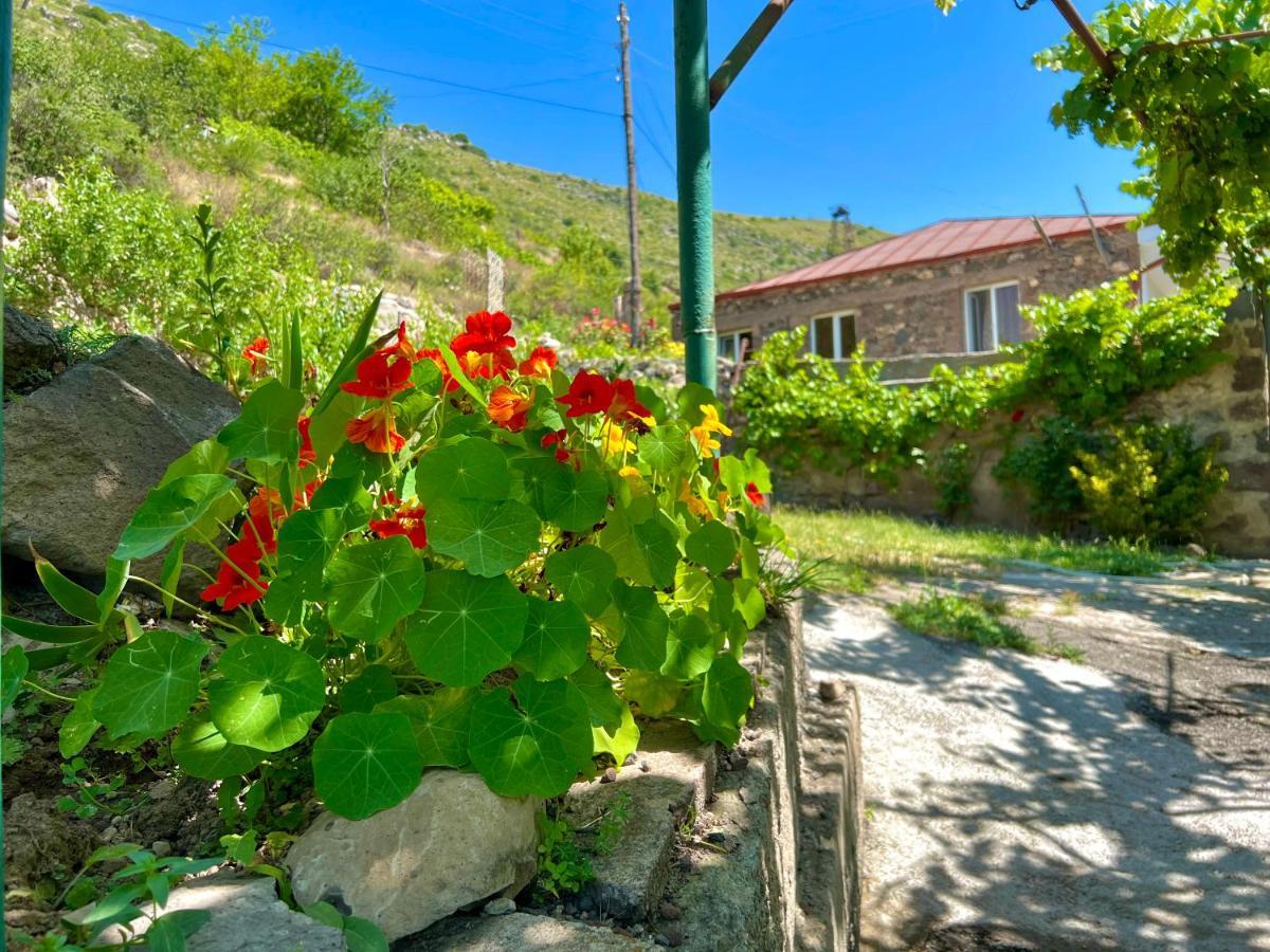 Igor Bed And Breakfast Halidzor Esterno foto